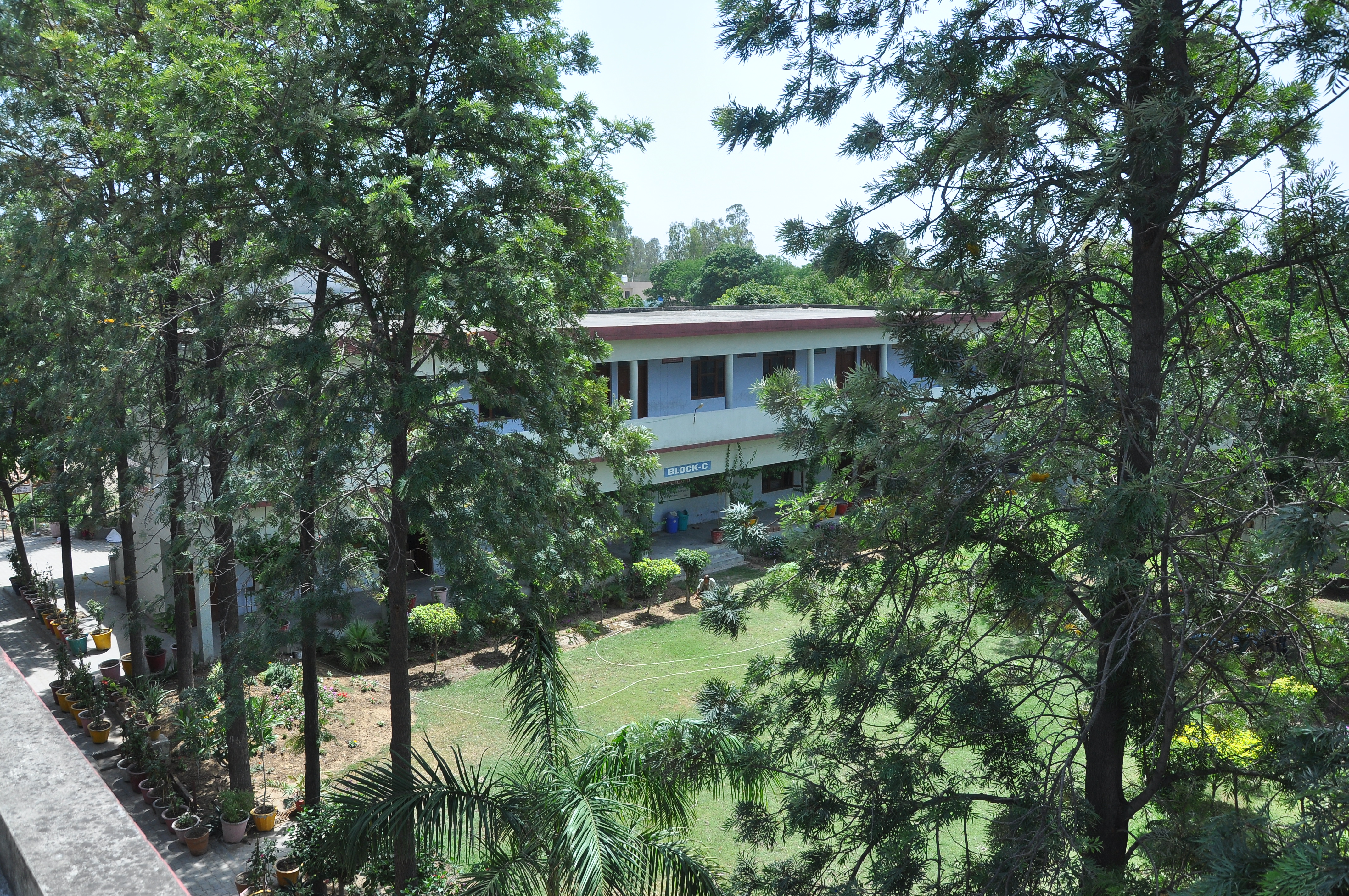 Campus Life