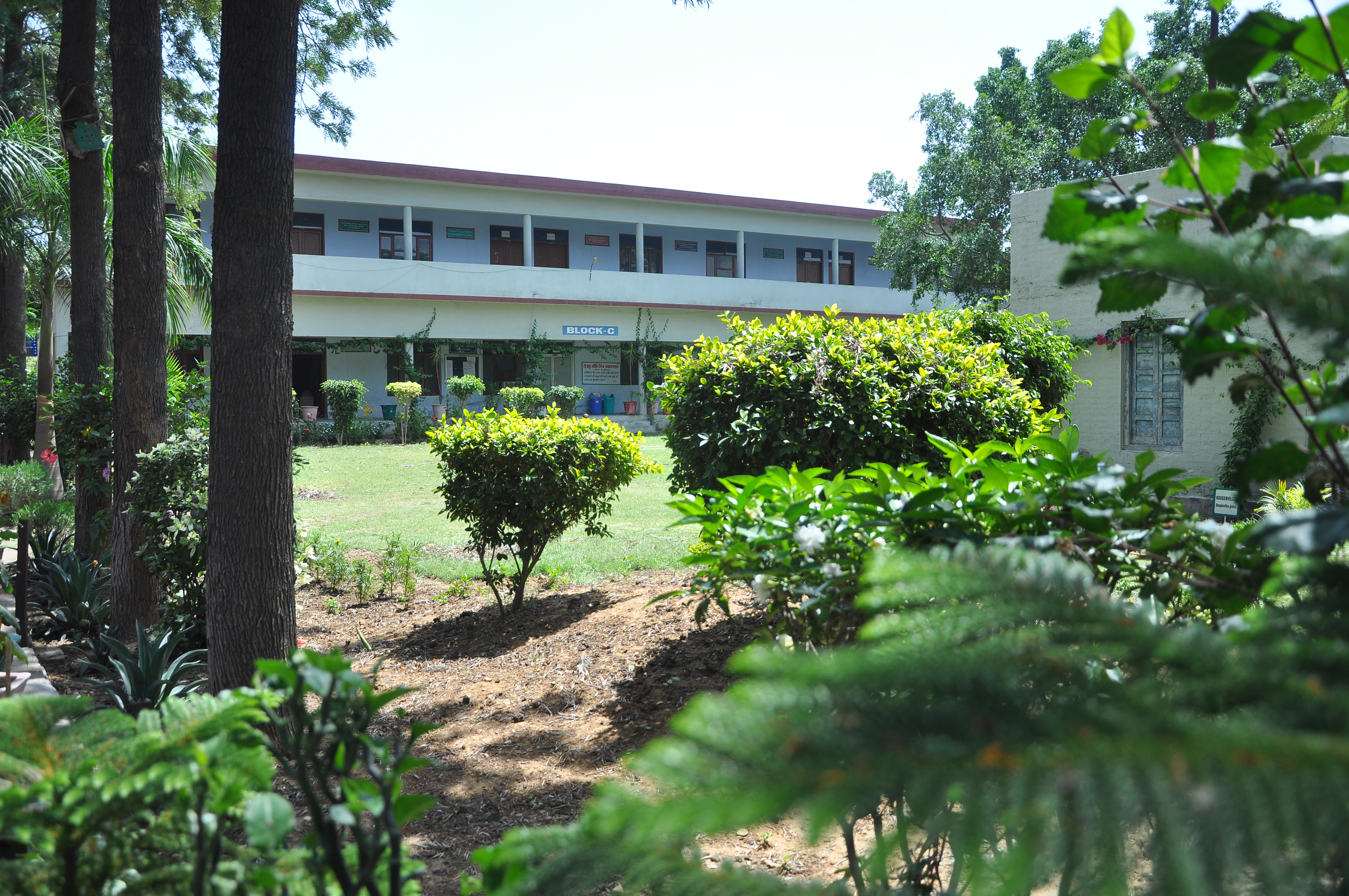 Campus Life