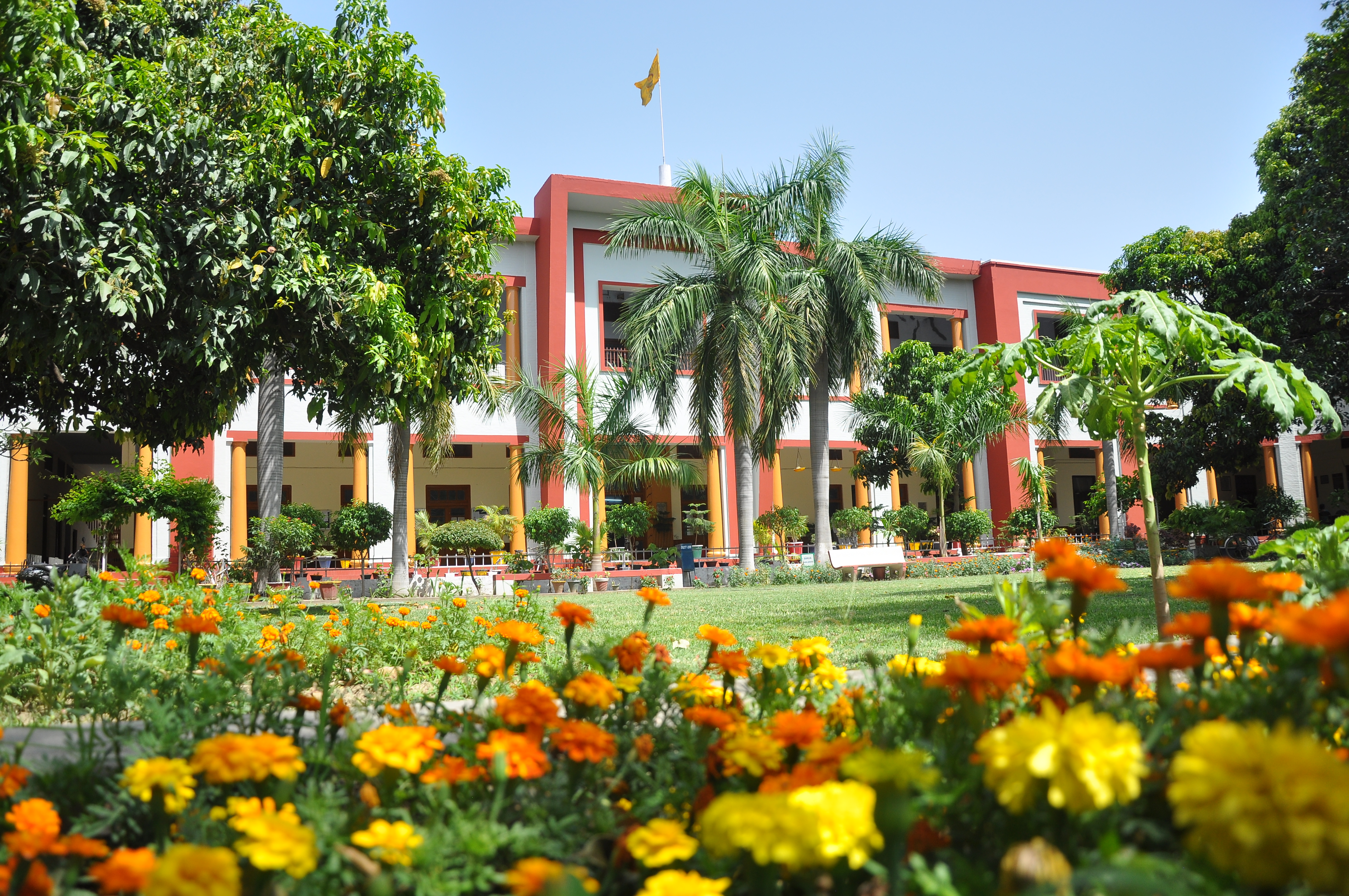 Campus Life