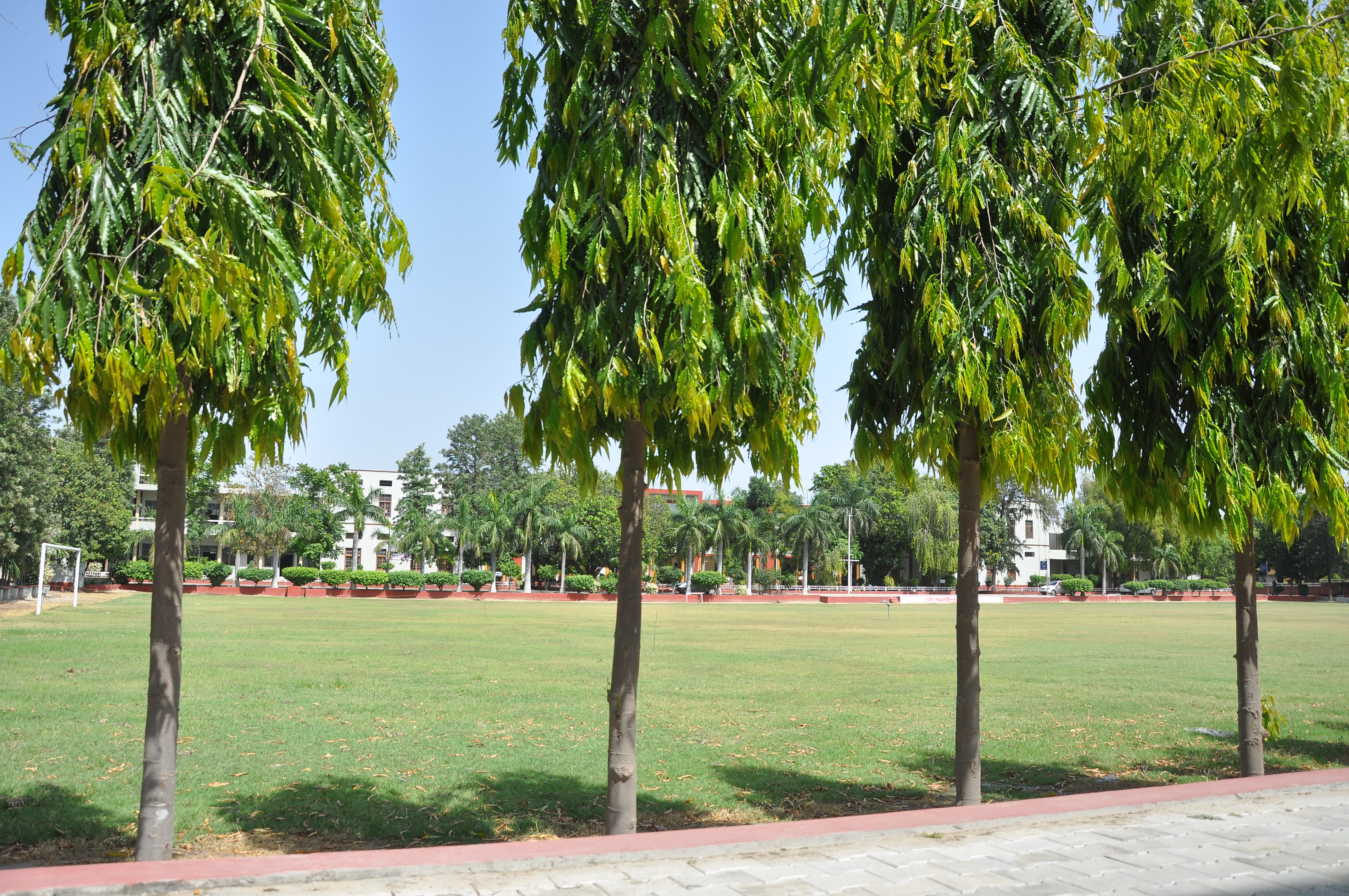 Campus Life